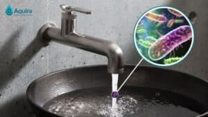 nhiễm khuẩn đường ống nước sinh hoạt